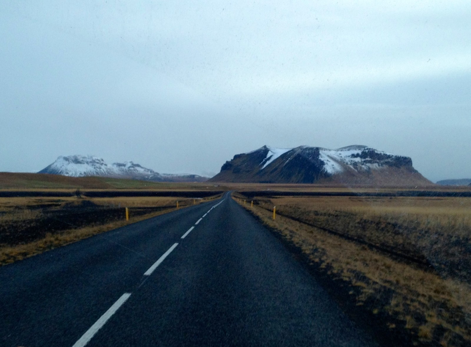 IMG-0420.jpg
