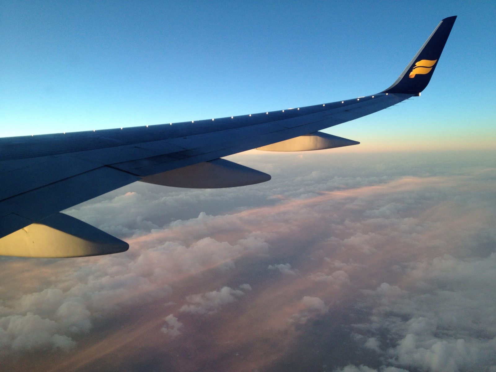 IMG-0465.jpg